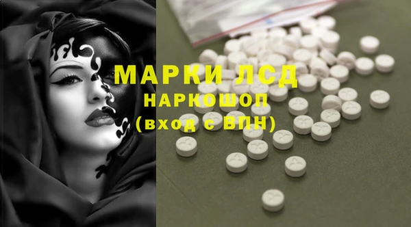 ПСИЛОЦИБИНОВЫЕ ГРИБЫ Балахна
