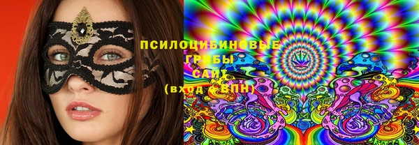 ПСИЛОЦИБИНОВЫЕ ГРИБЫ Балахна