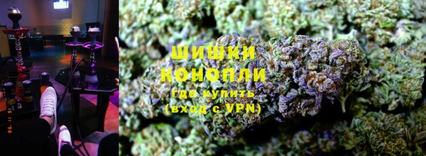 ПСИЛОЦИБИНОВЫЕ ГРИБЫ Балахна