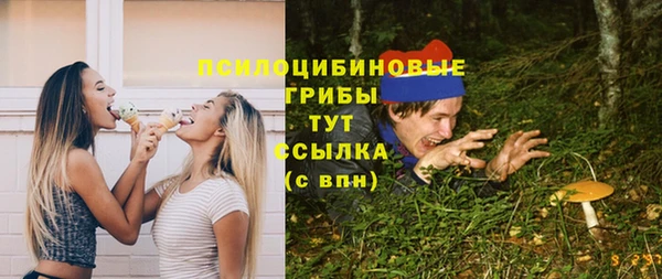 spice Баксан