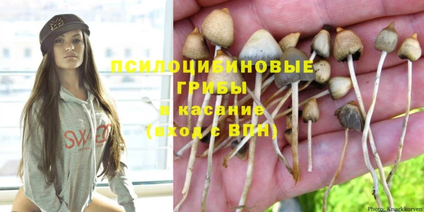 spice Баксан